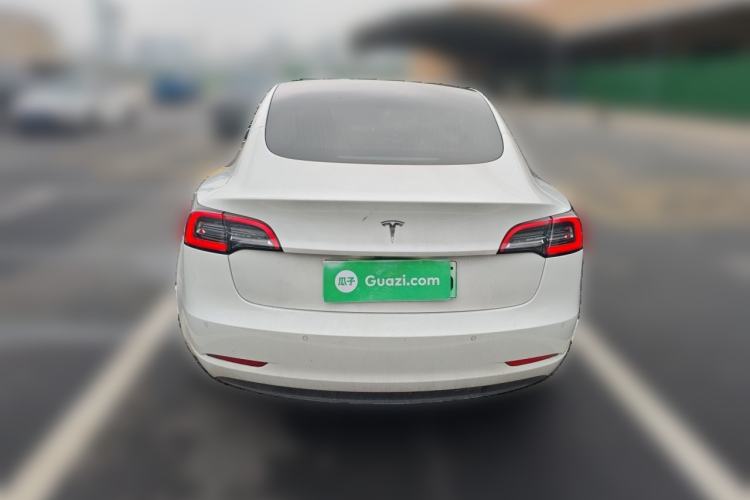 Used Tesla Model 3 2020 Standard Range Rear-Wheel Drive Upgraded Version Rear