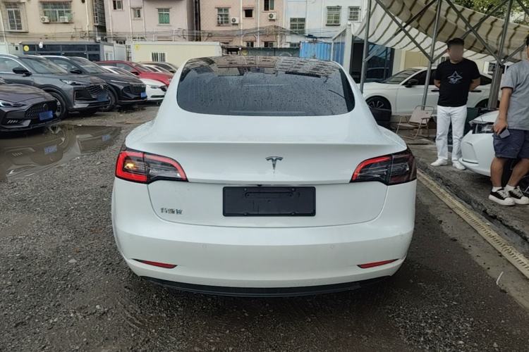 Used Tesla Model 3 2020 Standard Range Rear-Wheel Drive Upgraded Version Rear