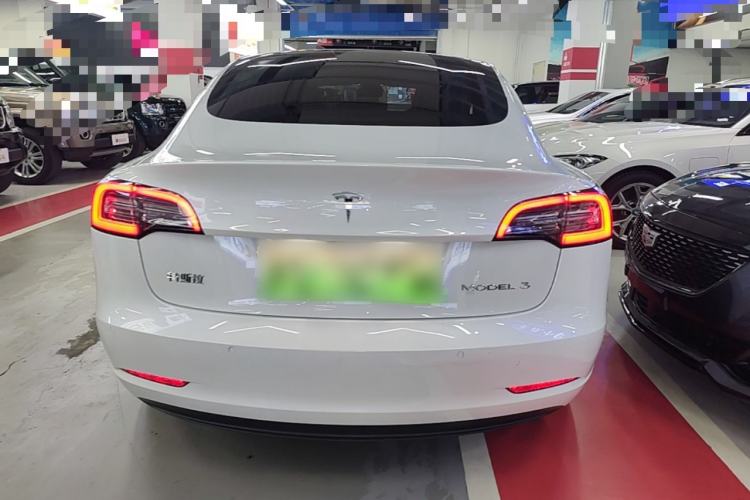 Used Tesla Model 3 2020 Standard Range Rear-Wheel Drive Upgraded Version Rear