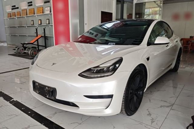 Tesla Model 3 2020 Revised Version Standard Range Rear-Wheel Drive – Upgraded Edition usata