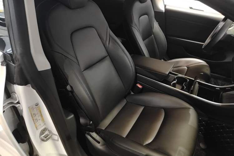 Used Tesla Model 3 2020 Standard Range Rear-Wheel Drive Upgraded Version Right Front Seat
