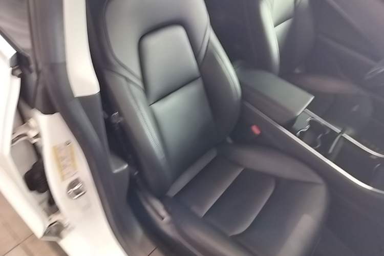 Used Tesla Model 3 2020 Standard Range Rear-Wheel Drive Upgraded Version Right Front Seat