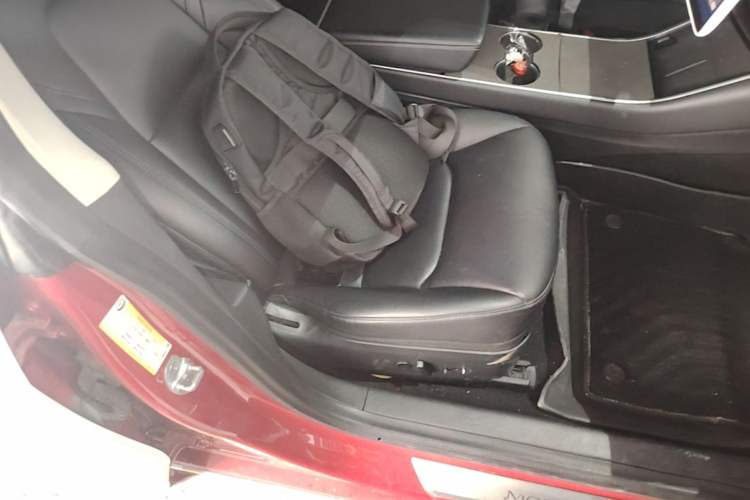Used Tesla Model 3 2020 Standard Range Rear-Wheel Drive Upgraded Version Right Front Seat