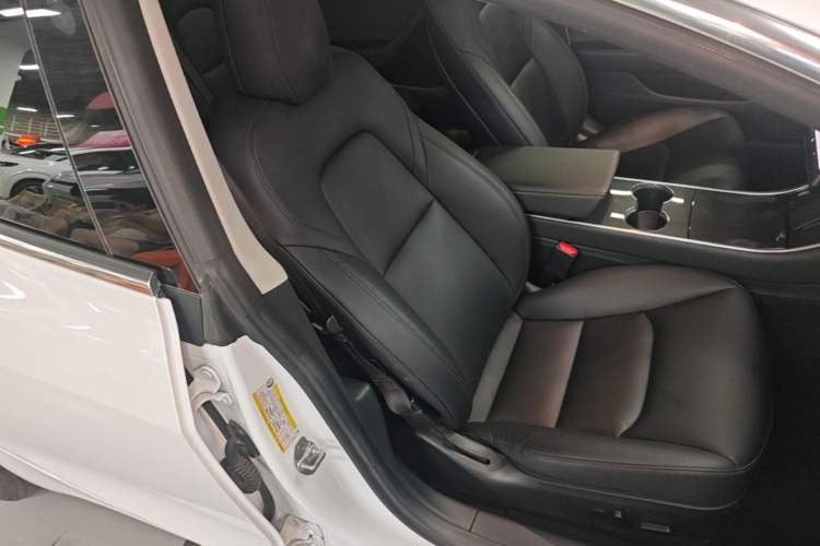 Used Tesla Model 3 2020 Standard Range Rear-Wheel Drive Upgraded Version Right Front Seat