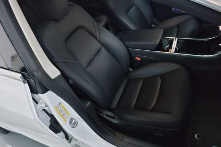 Used Tesla Model 3 2020 Standard Range Rear-Wheel Drive Upgraded Version Right Front Seat