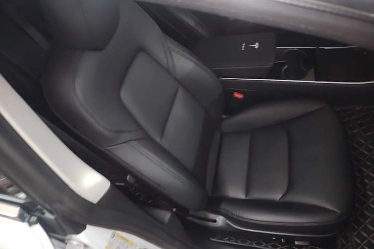 Used Tesla Model 3 2020 Standard Range Rear-Wheel Drive Upgraded Version Right Front Seat