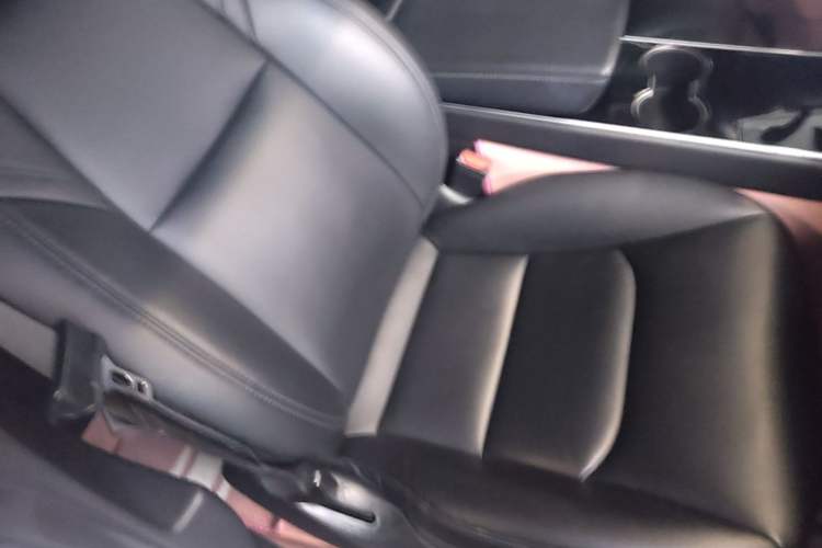 Used Tesla Model 3 2020 Standard Range Rear-Wheel Drive Upgraded Version Right Front Seat