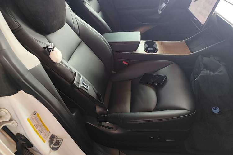 Used Tesla Model 3 2020 Revised Version Standard Range Rear-Wheel Drive – Upgraded Edition Right Front Seat
