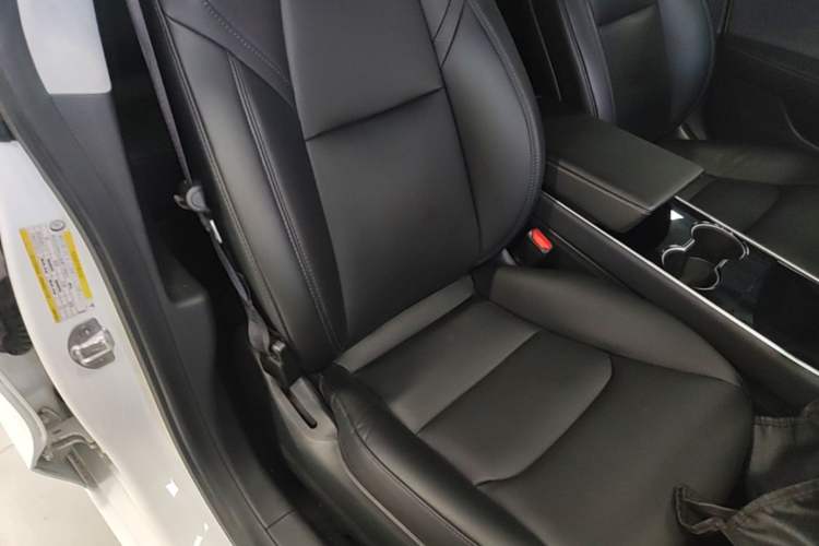 Used Tesla Model 3 2020 Standard Range Rear-Wheel Drive Upgraded Version Right Front Seat