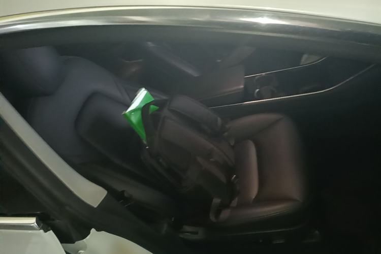 Used Tesla Model 3 2020 Standard Range Rear-Wheel Drive Upgraded Version Right Front Seat