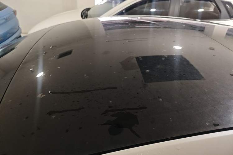 Used Tesla Model 3 2020 Refreshed Version Long-Range Rear-Wheel Drive Roof