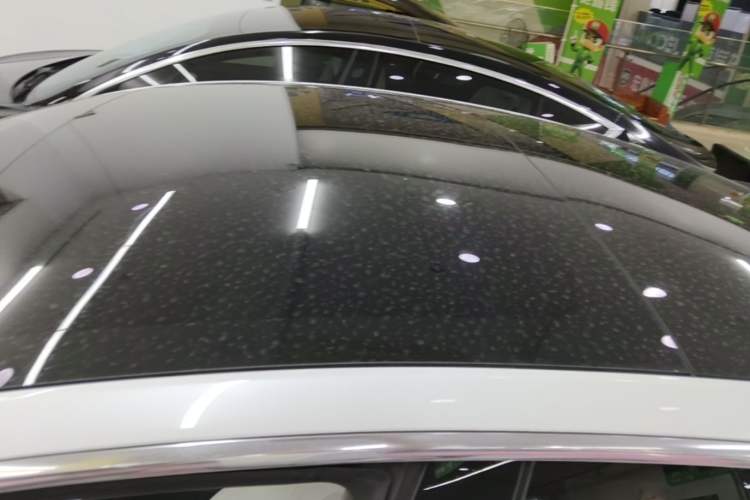 Used Tesla Model 3 2020 Standard Range Rear-Wheel Drive Upgraded Version Roof