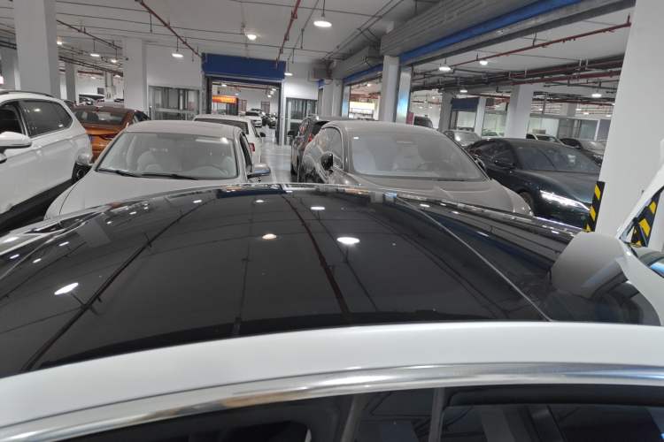 Used Tesla Model 3 2020 Long-Range Rear-Wheel-Drive Version Roof