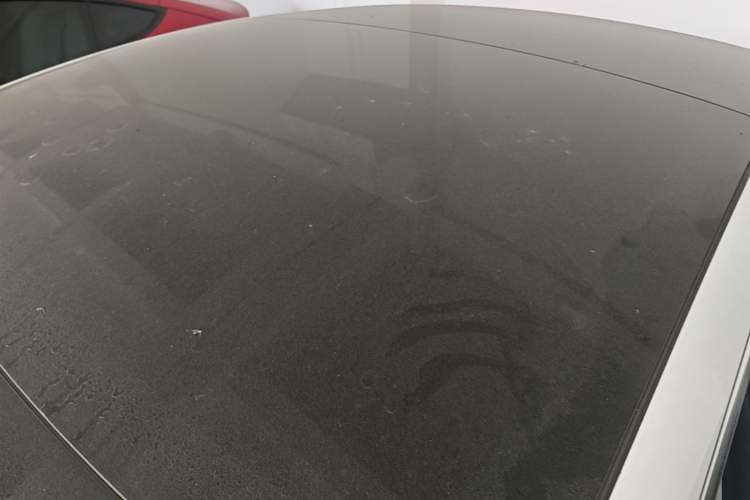Used Tesla Model 3 2020 Revised Version Standard Range Rear-Wheel Drive – Upgraded Edition Roof
