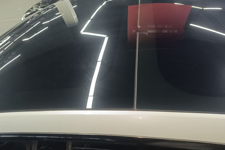 Used Tesla Model 3 2020 Standard Range Rear-Wheel Drive Upgraded Version Roof