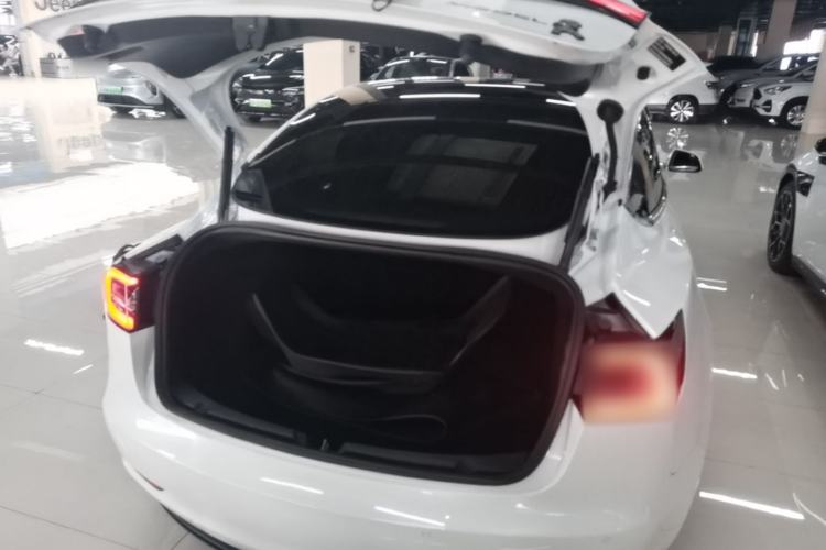 Used Tesla Model 3 2020 Standard Range Rear-Wheel Drive Upgraded Version Trunk