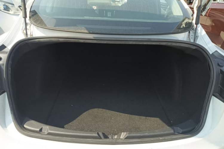 Used Tesla Model 3 2020 Standard Range Rear-Wheel Drive Upgraded Version Trunk