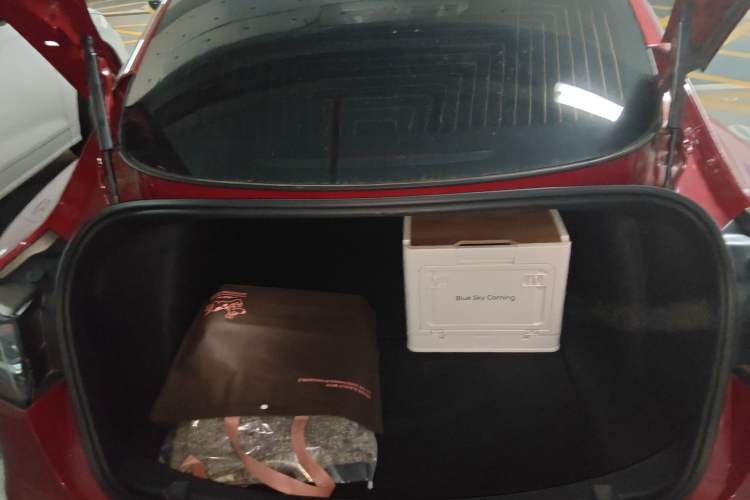Used Tesla Model 3 2020 Revised Version Standard Range Rear-Wheel Drive – Upgraded Edition Trunk