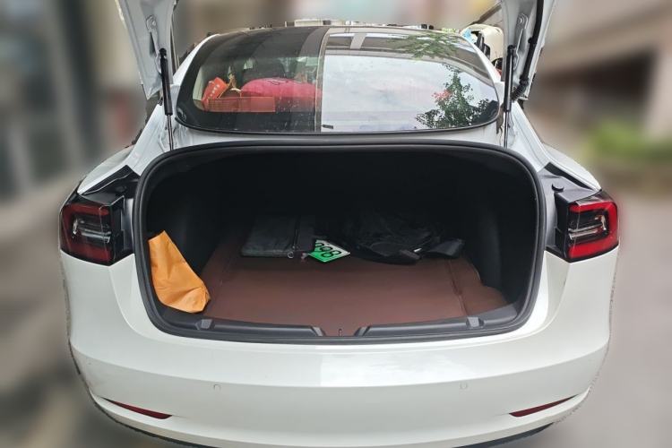 Used Tesla Model 3 2020 Standard Range Rear-Wheel Drive Upgraded Version Trunk