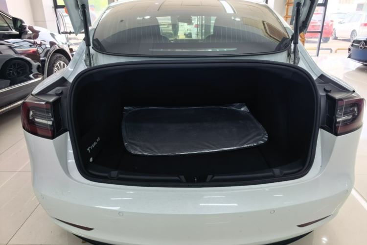 Used Tesla Model 3 2020 Standard Range Rear-Wheel Drive Upgraded Version Trunk