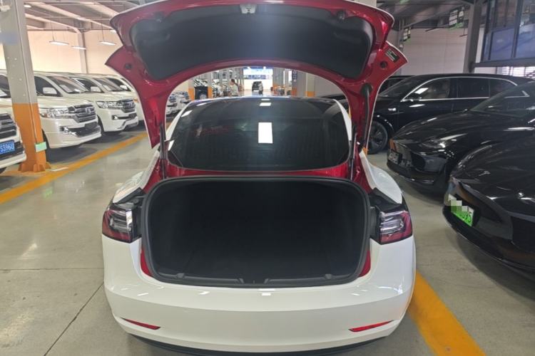 Used Tesla Model 3 2020 Standard Range Rear-Wheel Drive Upgraded Version Trunk