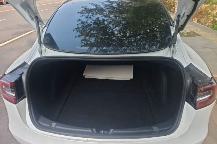 Used Tesla Model 3 2020 Standard Range Rear-Wheel Drive Upgraded Version Trunk