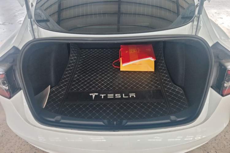 Used Tesla Model 3 2020 Standard Range Rear-Wheel Drive Upgraded Version Trunk