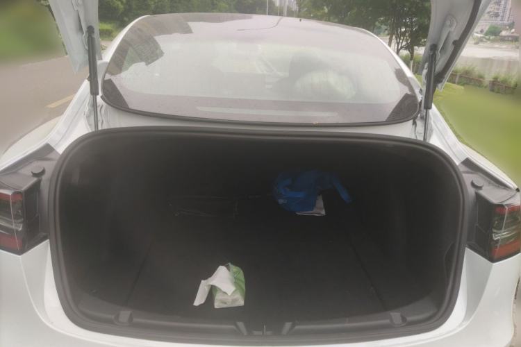 Used Tesla Model 3 2020 Revised Version Standard Range Rear-Wheel Drive – Upgraded Edition Trunk