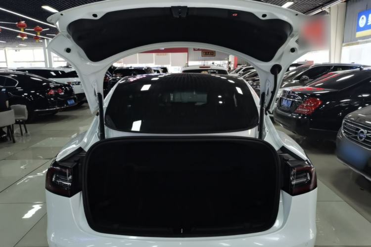 Used Tesla Model 3 2020 Standard Range Rear-Wheel Drive Upgraded Version Trunk