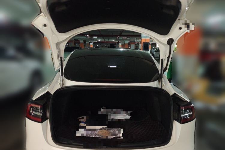 Used Tesla Model 3 2020 Standard Range Rear-Wheel Drive Upgraded Version Trunk