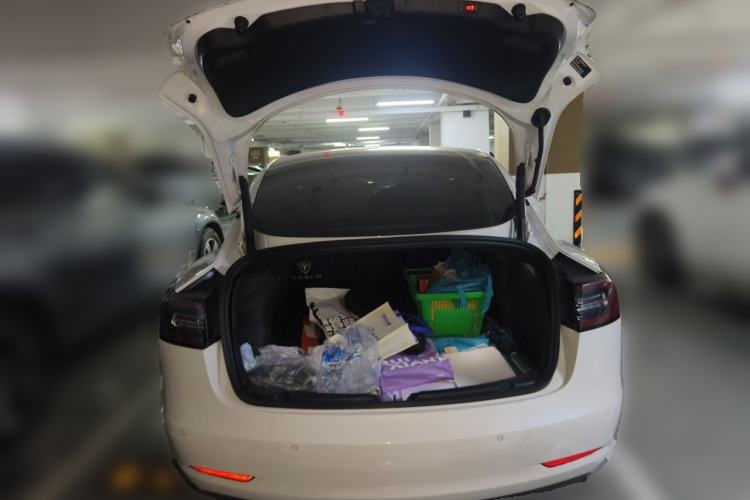 Used Tesla Model 3 2020 Standard Range Rear-Wheel Drive Upgraded Version Trunk