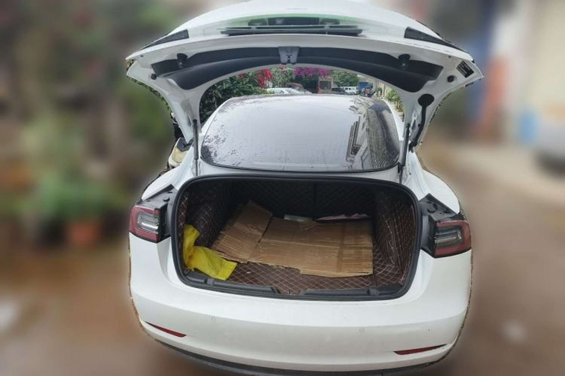 Used Tesla Model 3 2020 Standard Range Rear-Wheel Drive Upgraded Version Trunk