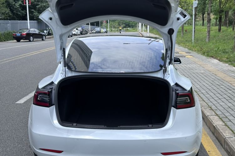 Used Tesla Model 3 2020 Revised Version Standard Range Rear-Wheel Drive – Upgraded Edition Trunk