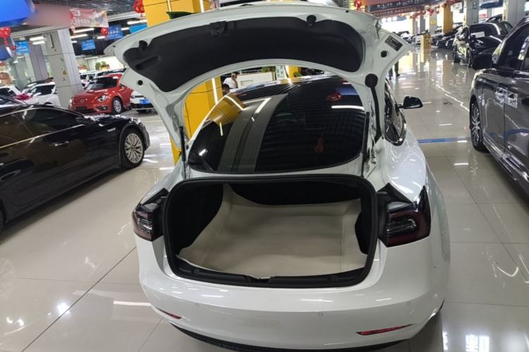 Used Tesla Model 3 2020 Standard Range Rear-Wheel Drive Upgraded Version Trunk