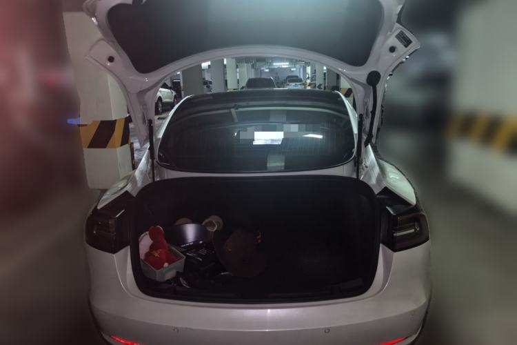 Used Tesla Model 3 2020 Revised Version Standard Range Rear-Wheel Drive – Upgraded Edition Trunk