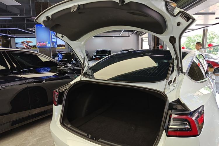 Used Tesla Model 3 2020 Standard Range Rear-Wheel Drive Upgraded Version Trunk