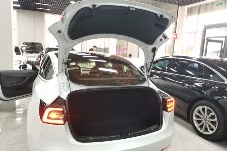 Used Tesla Model 3 2020 Standard Range Rear-Wheel Drive Upgraded Version Trunk