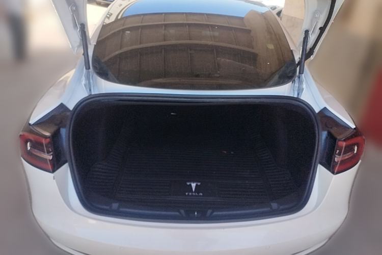 Used Tesla Model 3 2020 Standard Range Rear-Wheel Drive Upgraded Version Trunk