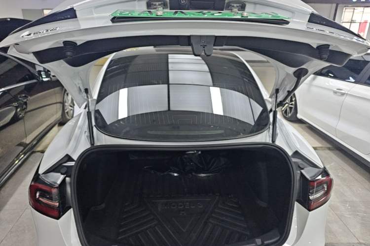 Used Tesla Model 3 2020 Standard Range Rear-Wheel Drive Upgraded Version Trunk