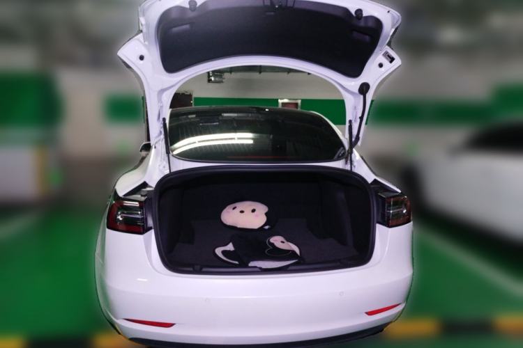 Used Tesla Model 3 2020 Standard Range Rear-Wheel Drive Upgraded Version Trunk