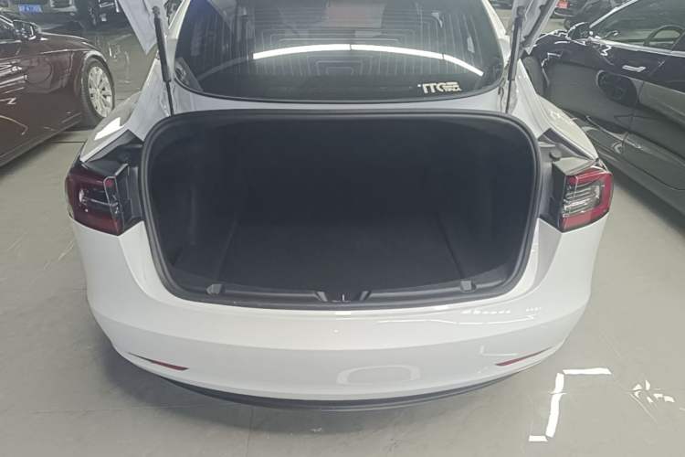 Used Tesla Model 3 2020 Standard Range Rear-Wheel Drive Upgraded Version Trunk