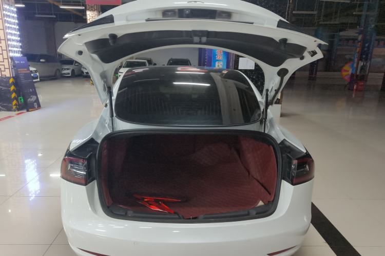 Used Tesla Model 3 2020 Standard Range Rear-Wheel Drive Upgraded Version Trunk