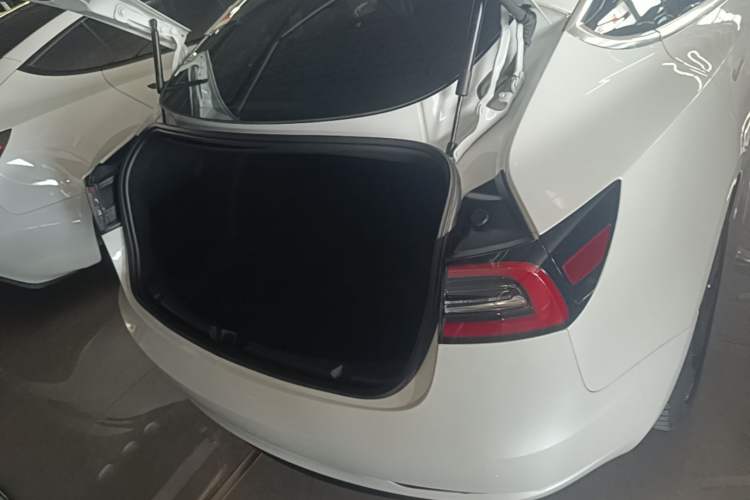 Used Tesla Model 3 2020 Standard Range Rear-Wheel Drive Upgraded Version Trunk