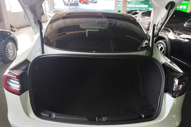 Used Tesla Model 3 2020 Revised Version Standard Range Rear-Wheel Drive – Upgraded Edition Trunk