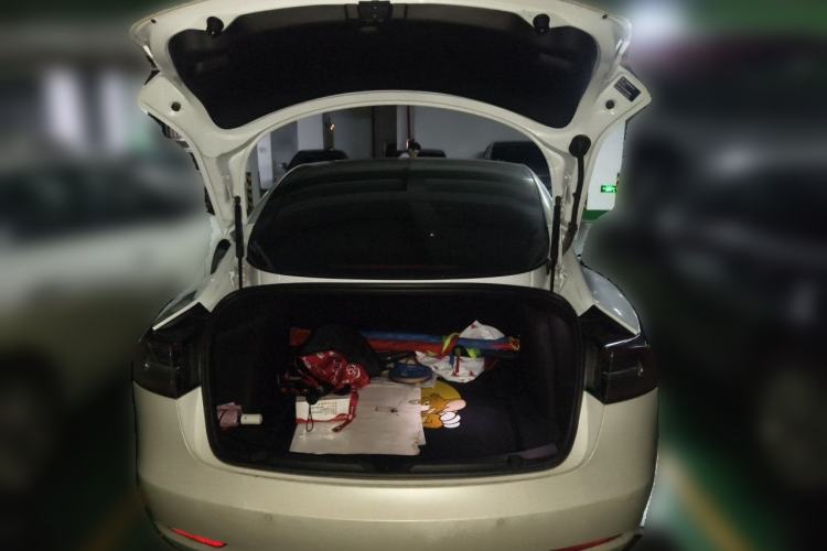 Used Tesla Model 3 2020 Standard Range Rear-Wheel Drive Upgraded Version Trunk