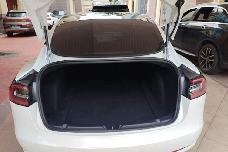 Used Tesla Model 3 2020 Standard Range Rear-Wheel Drive Upgraded Version Trunk