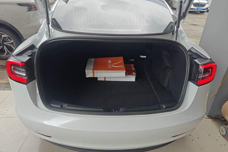 Used Tesla Model 3 2020 Revised Version Standard Range Rear-Wheel Drive – Upgraded Edition Trunk