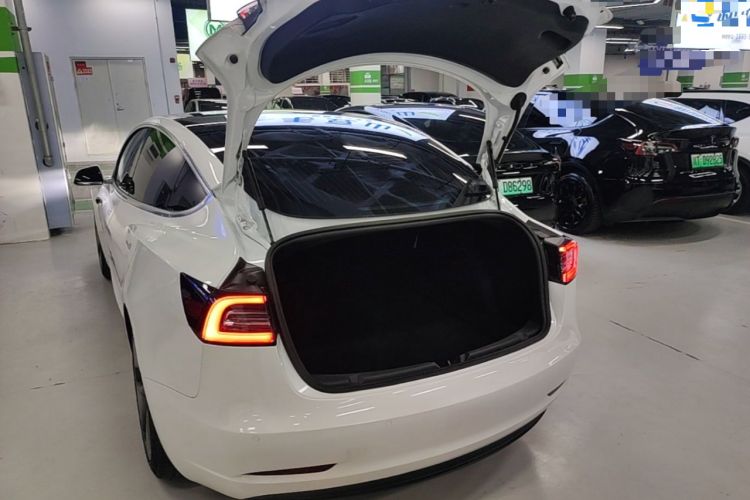 Used Tesla Model 3 2020 Standard Range Rear-Wheel Drive Upgraded Version Trunk