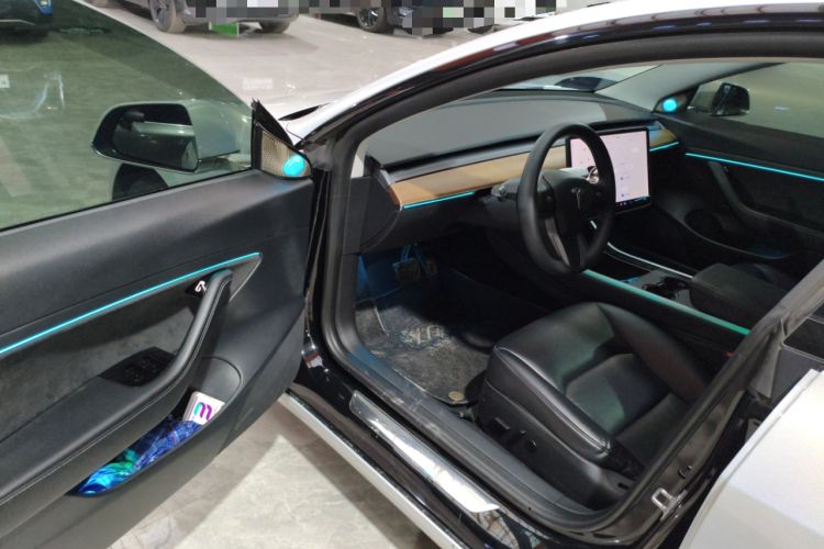 Used Tesla Model 3 2020 Standard Range Rear-Wheel Drive Upgraded Version Driver Seat