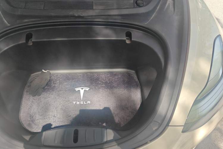 Used Tesla Model 3 2020 Standard Range Rear-Wheel Drive Upgraded Version Engine Bay Left